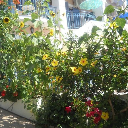 Olive Bay Hotel Agia Efimia Екстериор снимка